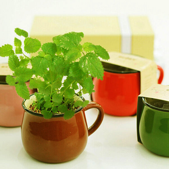 Ceramics,Coffee,Potted,Plant,Office,Desktop,Plant,Decor