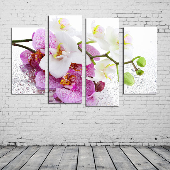 Miico,Painted,Combination,Decorative,Paintings,Botanic,Phalaenopsis,Decoration