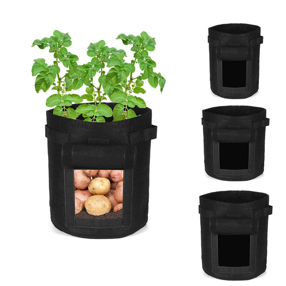 Gallon,Potato,Planting,Planter,Vegetable,Container,Garden,Seedling
