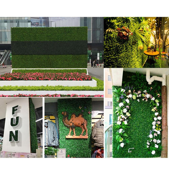 Green,Plant,Simulation,Plant,Decoration,Living,Interior,Background