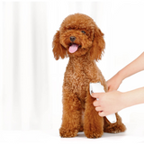 Pawbby,Rechargable,Trimmers,Professional,Grooming,Electrical,Clippers,Shaver,Xiaomi,Youpin