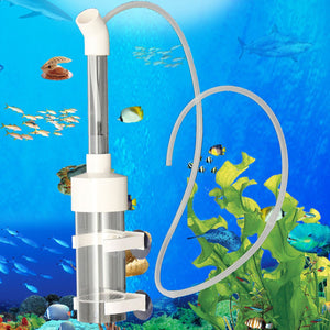 Clear,Aquarium,Fishing