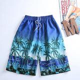 Shorts,Summer,Beach,Pants,Coconut,Trees,Leisure,Trousers,Surfing,Board,Shorts