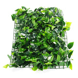 Green,Plant,Simulation,Plant,Decoration,Living,Interior,Background
