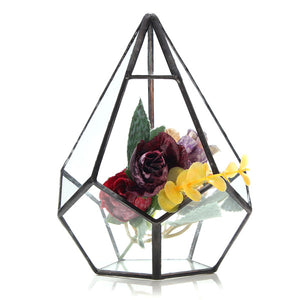 Succulent,Plant,Triangle,Greenhouse,Glass,Terrarium,Micro,Landscape,Glass,Bottle