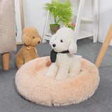 Puppy,Sleeping,House,Cushion,Washable