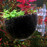 Shrimp,Aquatic,Plant,Crystal,Glass,Aquarium,Holder