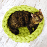 Knitted,Puppy,Pillow,House,House