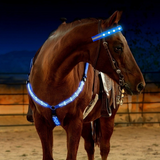 Outdoor,Luminous,Horse,Chest,Horse,Equestrian,Supplies