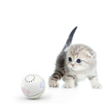 Smart,Companion,Catnip,Irregular,Scrolling,Funny,Artifact,Smart