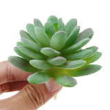 Artificial,Succulent,Flower,Floral,Plants,Garden,Landscape,Decorations