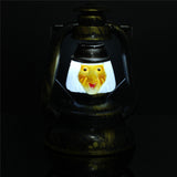 Halloween,Pumpkin,Skull,Witch,Lantern,Light,Laughter