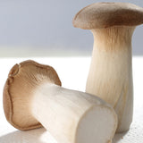 Egrow,Mushroom,Seeds,Garden,Planting,Edible,Pleurotus,Eryngii,Seeds,Vegetable,Seeds