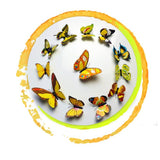 12Pcs,Colorful,Butterfly,Sticker,Fridge,Magnet,Decor,Applique