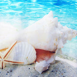 180x180cm,Bathroom,Waterproof,Shower,Curtain,Beach,shell