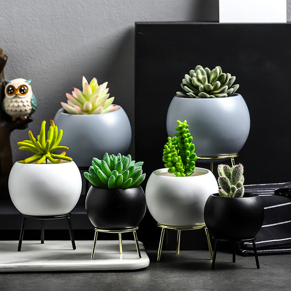 Succulent,Simple,Frame,Flower,Stand,Ceramic,Hydroponic,Flowerpot,Green,Plant