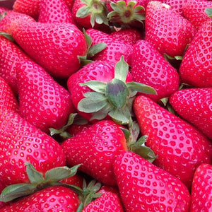 Egrow,500Pcs,Strawberry,Seeds,Garden,Planting,Sweet,Fruit,Seeds