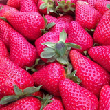 Egrow,500Pcs,Strawberry,Seeds,Garden,Planting,Sweet,Fruit,Seeds