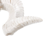 Hanging,Resin,Skull,Ornament,Sheep,Animal,Sculpture,Decorations