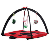 Activity,Playing,Exercise,Kitten,Bells,House