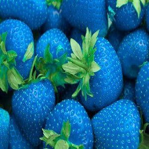 500Pcs,Green,Strawberry,Seeds,Fruit,Seeds,Garden,Seeds