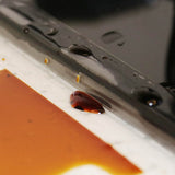 0.5mm,Waterproof,Transparent,Adhesive,Traceless,Sticky,Kitchen,Toilet,Strip,Mildew,Proof,Water,Sticker