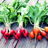 Egrow,Beetroot,Seeds,Beetroot,Plants,Green,Vegetable,Vulgaris,Bonsai,Plantas,Hardy,Vegetable