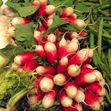 Egrow,Sausage,Radish,Seeds,Juicy,Nutritious,Early,Spring,Radish,Delicious,Vegetable