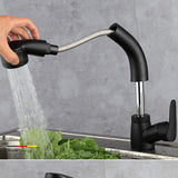 Kitchen,Mixer,Swivel,Spout,Spray,Basin,Brass,Faucet