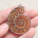 Madagascar,Natural,Druzy,Ammonite,Shell,Gemstone,Pendant,Necklace