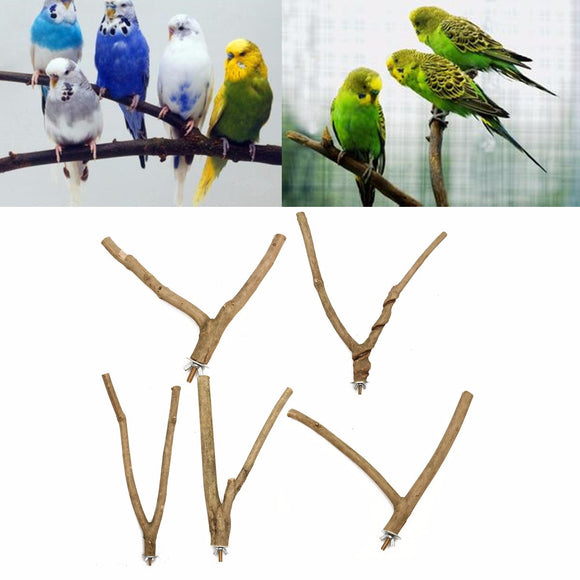 Parrot,Stand,Hamster,Branch,Perches