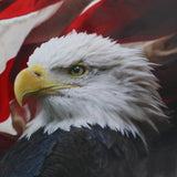 167x63.5cm,Eagle,America,Tailgate,Vinyl,Graphic,Decal,Truck,Stickers
