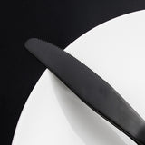 Stainless,Steel,Black,Flatware,Dinnerware,Cutlery,Spoons,Tableware,Kitchen,Dinner
