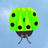 Children,Ladybug,Portable,Outdoor,Funny,Sport