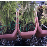 Automatic,Micro,Irrigation,Watering,System,Sprinkler,Smart,Controller,Garden,Bonsai,Indoor