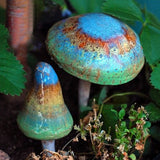 Egrow,Colorful,Mushroom,Seeds,Ornamental,Plants,Garden,Planting