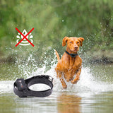 PaiPaitek,Shock,Vibration,Barking,Collar,Remote,Training,Collar,Black