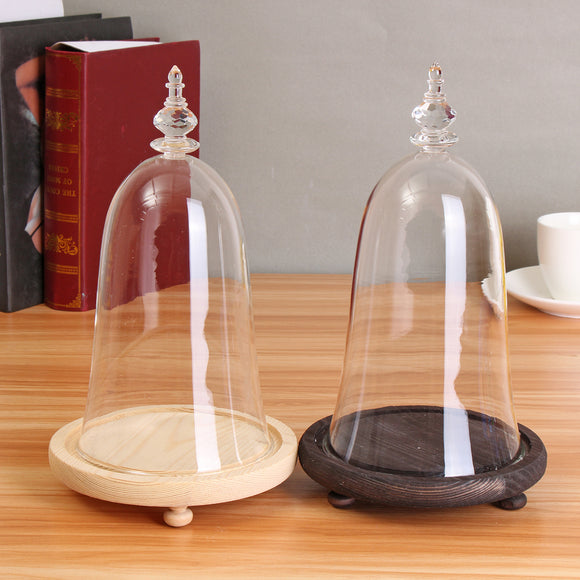 Glass,Display,Cloche,Wooden,Inspired,Beauty,Beast