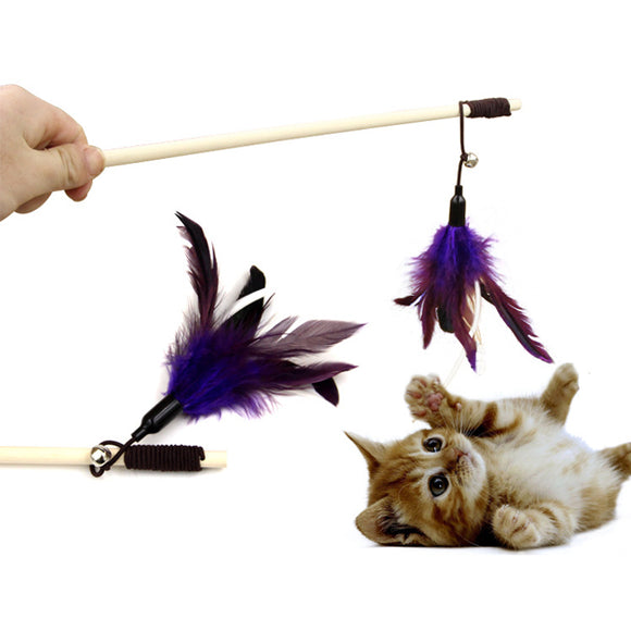 Tease,Stick,Goose,Feather,Wooden,Funny,Playing,Supplies