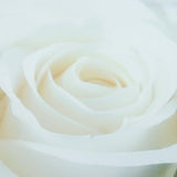 Unframed,Modern,Flower,White,Canvas,Picture,Poster,Paintings,Decorations