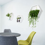 Handmade,Acrylic,Chlorophytum,Flower,Scindapsus,Hexagon,Hanging,Decoration