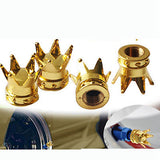 Bicycle,Cycling,Chrome,Crown,Wheel,Valve
