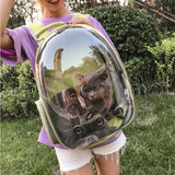 Colors,Breathable,Transparent,Travel,Backpack,Carrier,Shoulder