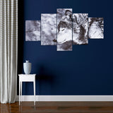 Black,White,Canvas,Print,Animal,Paintings,Decor