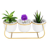 Ceramic,Succulent,Plant,Flower,Bonsai,Holder,Tabletop,Garden,Decor,Stand