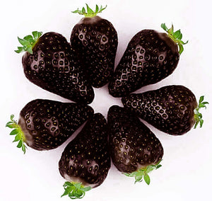 Egrow,Black,Strawberry,Seeds,Fresh,Exotic,Tasty,Fruit,Potted,Garden,Bonsai,Plant