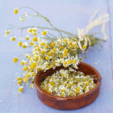 Egrow,Exotic,Chamomile,Bonsai,Seeds,Flower,Plant,Outdoor,Indoor,Blooming,Garden,plant