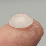 Suleve,SFB01,50Pcs,Adhesive,Silicone,Bumper,Cabinet,Buffer,Protector