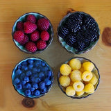 Egrow,Mixed,Color,Raspberry,Seeds,Black,Yellow,Fruit