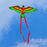 110x55cm,Colorful,Parrot,Flying,Children,Outdoor,Activities